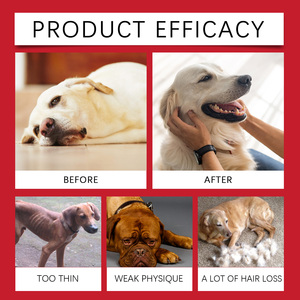 Gocce di Integratori Nutrizionali per Animali Domestici 30ml, Assorbimento Rapido, Bilanciamento Nutrizionale, Disponibile OEM, Fornitura Diretta dalla Fabbrica, Vendita all'Ingrosso - Product Image 5