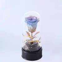 סיטונאי פרח נצחי באיכות גבוהה קישוט פרח Led אור כחול שן רמקול יחיד השתמר עלה ב זכוכית