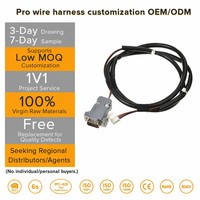 Kabel Tembaga Pengisi Daya EV DC ke DC dan Kabel Harness Profesional dengan Tutup Pelindung untuk Aplikasi Konverter dan Peralatan
