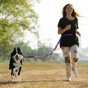 สายจูงสุนัขแบบแฮนด์ฟรีสำหรับสุนัขขนาดกลางถึงใหญ่ ทนทาน ไม่ดึง สายจูงแบบยืดหยุ่นสำหรับวิ่งและฝึกสุนัข - Product Image 5