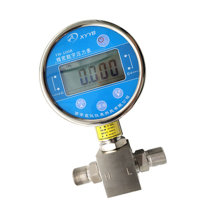 Jauge numérique différentielle LCD 5 chiffres 0,05 % 100 mm IP67 en acier inoxydable 304 YW-100B - Product Image 1
