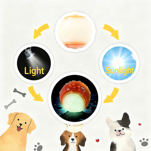 Nuovi Prodotti di Lusso per Animali Domestici: Palla Elastica Solida per Cani, Giocattolo in Gomma Ecologica e Peluche per Gioco Interattivo, Confezionato in Sacchetto - Product Image 6