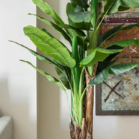 Plante artificielle en plastique artificielle artificielle en forme de palmier et bananier Ficus Lyrata Dypsis Lutescens