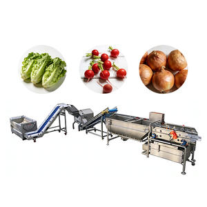 Lini Pengolahan Pisang Siap Pakai untuk Pabrik Makanan - Product Image 1