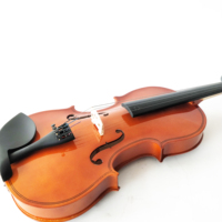 Wholesaler Price 4/4 Full Size Student Cheap Basswood Steel String Alloy Tailpiece Violin with Triangle Foam Case