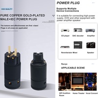 Adaptateur de prise secteur AC OEM ODM HIFI YIVO EU/US/AU IEC Femelle/Mâle en cuivre pur plaqué or 18 mm max.