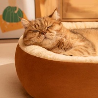 Coussin pour animaux de compagnie pliable, doublure intérieure en peluche douce et respirante, base lavable et antidérapante, adapté à toutes les saisons