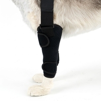 Nouvelle attelle carpienne respirante pour pattes avant de chien, antidérapante, pour soins des plaies et récupération des blessures, écologique et durable, en polyester PETSGUARD