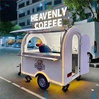 2025 nouvelle conception populaire chariot à crème glacée Mini chariot de nourriture avec cuisine mobile CE DOT entièrement équipée USA Standard