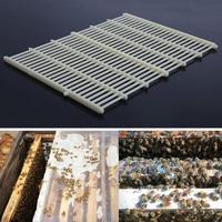 Outils d'apiculture en gros Accessoires multifonctionnels pour ruche Caillebotis en plastique Queen Excluder