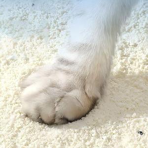 Litière <span class=keywords><strong>pour</strong></span> chat en manioc - Qualité supérieure, zéro poussière, gelification rapide en 3 secondes, sans adhérence au fond, jetable aux toilettes, écologique, faible poids des grumeaux - Product Image 4