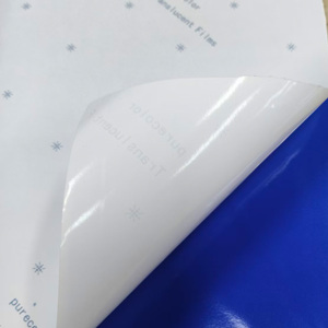 <span class=keywords><strong>Film</strong></span> vinyle de haute qualité pour impression sérigraphique en rouleau, idéal pour les caissons lumineux - Product Image 2