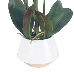 Fleurs artificielles d'orchidées Phalaenopsis en PU de haute qualité pour les décorations de mariage et de Noël, échantillon gratuit - Product Image 5