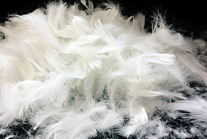 lavado blanco pato ganso pluma de canard blanc relleno de almohada edredón uso de gran llenar poder - Product Image 2