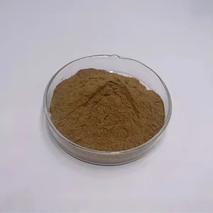 Hot Sales Male's Health Care Product Extract Maca Root Extract Powder Maca Extract