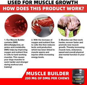 Integratore muscolare per cani con etichetta privata all'ingrosso integratore muscolare per cani <span class=keywords><strong>Bully</strong></span> integratore naturale per l'anca dell'animale domestico e Soft mastica integratori per articolazioni del cane - Product Image 2