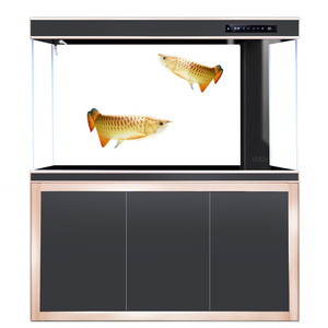 Acuario de Vidrio Rectangular Grande para Peces, Fácil de Limpiar, Sostenible, para Sala de Estar, en Oferta - Product Image 6
