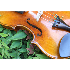 <span class=keywords><strong>Atelier</strong></span> de chant en bois pour <span class=keywords><strong>violon</strong></span>, 4/4 peinture à l'huile européenne de haute qualité, Antique, fait à la main - Product Image 5