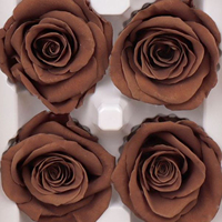 Bunga Mawar Asli Awetan Kelas A 4-5cm Laris Manis, Bahan Bunga Asli Alami untuk DIY, Multiwarna, Wisuda, Hari Valentine
