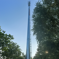 Tour de télécommunication monopode YingHao certifiée ISO de 30 m avec échelle interne et garde-corps de sécurité pour un accès de maintenance sécurisé, durée de vie de 30 à 50 ans