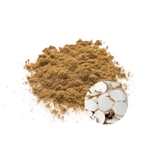 Extracto <span class=keywords><strong>de</strong></span> Radix Angelicae Dahuricae <span class=keywords><strong>en</strong></span> Polvo <span class=keywords><strong>de</strong></span> Primera Calidad con Certificación CE, Alta Biodisponibilidad, Personalizable OEM ODM, Certificación NSF ISO Vegana - Product Image 3