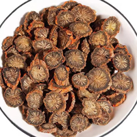 Comprimés de Salvia Miltiorrhiza (Dan Shen) – Extrait végétal de qualité alimentaire avec extraction liquide-solide pour applications de santé