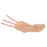 Modelo de Simulación Quirúrgica Laparoscópica para Pancreatoojenojoestomía, Módulo de Práctica de Sutura y Corte