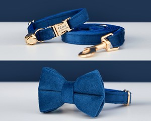 Royalblue Veet cá nhân mèo cổ áo BOW TIE Dẫn Bộ, tùy chỉnh khắc Kitten Puppy Tên tag & số điện thoại, Con Chó Nhỏ nam cậu bé - Product Image 3