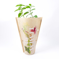 Manchon en papier kraft imperméable et écologique pour l'emballage des plantes, conception personnalisée