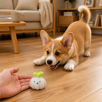 Jouet couineur pour chien en latex naturel, adorable jouet à mâcher pour chien en forme d'ail, jouet de dentition souple pour chiots et chiens de petite et moyenne taille