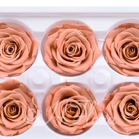 Têtes de roses éternelles séchées en gros de 5-6 cm pour la décoration de mariage, roses éternelles, matériaux décoratifs DIY