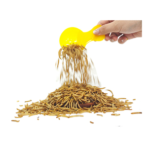 Un Kurdu Sarı Un Kurduları Yüksek Proteinli Kuş Kaplumbağa Hamster Solucanı Kurutulmuş Kuş Yemi Güvercin Yemi - Product Image 6