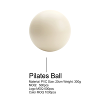 Ensemble d'exercices écologiques pour femmes, tapis de yoga en daim, ballon de Pilates et kit d'anneaux de Pilates avec logo personnalisé, livraison rapide
