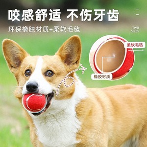 Balle en caoutchouc pour chien, jouet à mâcher pour l'entraînement et le nettoyage des dents, ensemble de 3 couleurs - Product Image 2