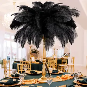 Factory Supply 16-18 Inch Bulk Large Natural Ostrich Feathers