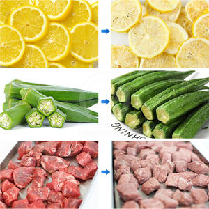 Machine à bonbons lyophilisée commerciale OCEAN Machine de lyophilisation de fruits et légumes moyenne à usage domestique - Product Image 4