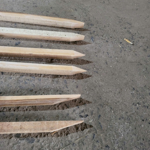 Piquets en bois d'acacia durables pour le soutien des plantes, piquets de jardin en bois naturel et poteaux en bois pour pépinières agricoles, fabricant - Product Image 4