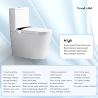Offre Spéciale – WC intelligent en céramique à double chasse, réservoir encastré, à poser au sol, siphon en S, équipement sanitaire pour hôtels, structure monobloc incluse