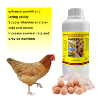 Solution Orale Multivitaminée AD3E Booster pour Poulets, Prémélange Vitaminique pour Bétail, Booster de Ponte pour Volailles