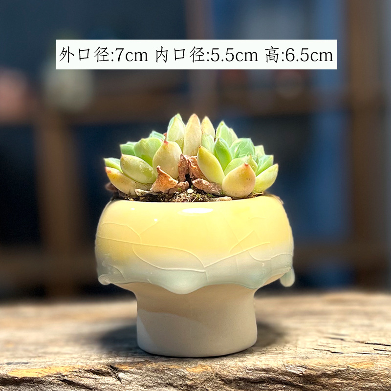 สีขาวตามภาพที่แสดง-3