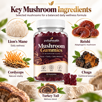 Gummies de champignons Lion's Mane à marque privée pour la mémoire, la concentration cérébrale, supplément nootropique végétarien, faible teneur en sucre, OEM