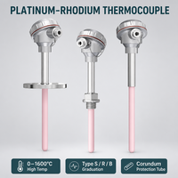 Sensor Suhu Tinggi Termokopel Platinum Rhodium Tipe S dengan Tabung Keramik Alumina untuk Pemantauan Industri