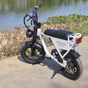OUXI Nouveau Vélo Électrique Léger et Abordable 16 Pouces, Batterie Importée 48V, Vélo Électrique Portable, Trottinettes Électriques Rétro - Product Image 1