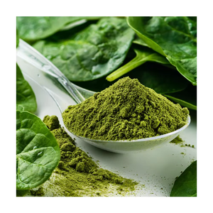 Poudre d'épinards de haute qualité, poudre de feuilles de Spinacia Oleracea, poudre végétale naturelle, matière première alimentaire, vente en gros en vrac - Product Image 2