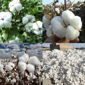 Prezzo Macchina Raccoglitrice di <span class=keywords><strong>Cotone</strong></span> Mini Mietitrice per <span class=keywords><strong>Cotone</strong></span> - Product Image 5