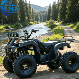 <span class=keywords><strong>Quad</strong></span> électrique LNA avec marche arrière 2000W certifié CE pour les excursions dans le désert - Product Image 3