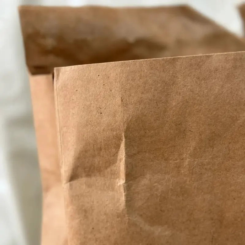 Compostable Kraft Giấy thể hiện phong bì phân hủy sinh học chống sốc bưu phẩm vận chuyển gửi thư Túi