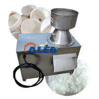 Machine à râper et à hacher la noix de coco de petite taille à haute efficacité, machine à broyer la chair de noix de coco