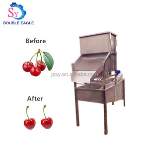 1 T/H ad alto rendimento industriale automatico Cherry Stem taglio separando divisione rimozione macchina 1500W - Product Image 2