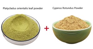 育毛成分 純粋な東洋白樺葉粉末 - Product Image 5